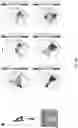 Fig. 10 - Method for organizing individual molecules on a patterned substrate and structures assembled thereby