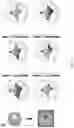 Fig. 12 - Method for organizing individual molecules on a patterned substrate and structures assembled thereby