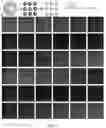 Fig. 15 - Method for organizing individual molecules on a patterned substrate and structures assembled thereby