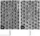 Fig. 29 - Method for organizing individual molecules on a patterned substrate and structures assembled thereby