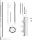 Fig. 02 - BIOMATERIAL IMMOBILIZING METHOD AND USES THEREOF