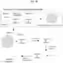 Fig. 05 - Surface-immobilized bistable polynucleotide devices for the sensing and quantification of molecular events