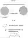 Fig. 06 - Surface-immobilized bistable polynucleotide devices for the sensing and quantification of molecular events