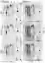 Fig. 02 - NON-TARGET SITE RESISTANCE