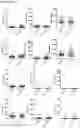 Fig. 07 - IN VITRO METHOD FOR THE DIAGNOSIS OF LUNG CANCER