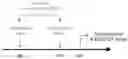 Fig. 01 - Microbiota sequence variants of tumor-related antigenic epitopes