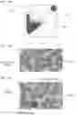 Fig. 14 - Blood analyzer and blood analyzing method for determining if plasmodium infection is present