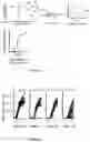 Fig. 11 - Method for measuring LDL aggregation