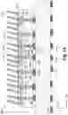 Fig. 02 - High density and fine pitch interconnect structures in an electric test apparatus