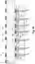 Fig. 29 - High density and fine pitch interconnect structures in an electric test apparatus