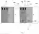 Fig. 07 - Micro device arrangement in donor substrate