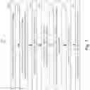 Fig. 07 - Design-for-test for asynchronous circuit elements