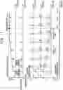 Fig. 12 - REMAINING BATTERY POWER MEASURING DEVICE, METHOD OF MEASURING REMAINING BATTERY POWER, AND STORAGE MEDIUM