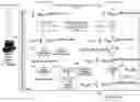 Fig. 01 - Systems and methods for de-noising GNSS signals