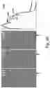Fig. 51 - Compressive sensing imaging