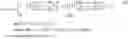 Fig. 02 - Deghosting of seismic data through echo- deblending using coincidence filtering