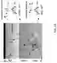 Fig. 06 - Electric field sensing devices and systems and method of making the same