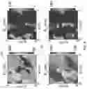 Fig. 05 - Angle multiplexed metasurfaces