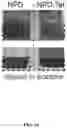 Fig. 24 - Broadband and omnidirectional polymer antireflection coatings