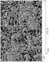Fig. 06 - CONTROL OF LIGHT SCATTERING WITH NANOPARTICLES AND/OR COATINGS