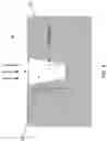 Fig. 09 - CONTROL OF LIGHT SCATTERING WITH NANOPARTICLES AND/OR COATINGS