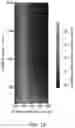 Fig. 14 - CONTROL OF LIGHT SCATTERING WITH NANOPARTICLES AND/OR COATINGS