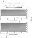 Fig. 15 - CONTROL OF LIGHT SCATTERING WITH NANOPARTICLES AND/OR COATINGS