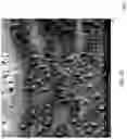 Fig. 26 - CONTROL OF LIGHT SCATTERING WITH NANOPARTICLES AND/OR COATINGS