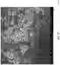 Fig. 28 - CONTROL OF LIGHT SCATTERING WITH NANOPARTICLES AND/OR COATINGS