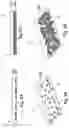 Fig. 06 - Colored structure resulting from color coating technology applied to a base material