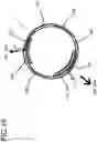 Fig. 20 - Interchangeable lens