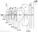 Fig. 01 - Camera lens