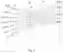 Fig. 02 - Camera optical lens