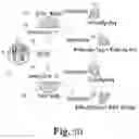 Fig. 07 - Assembly for increasing the resolution of a laser scanning microscope