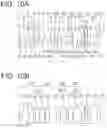 Fig. 11 - Objective optical system, image pickup apparatus, and endoscope