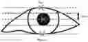 Fig. 01 - Determining eye openness with an eye tracking device