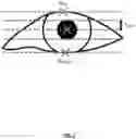 Fig. 05 - Determining eye openness with an eye tracking device