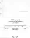 Fig. 18 - Augmented/virtual reality near eye display with edge imaging spectacle lens