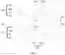 Fig. 02 - Display panel and display device