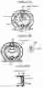 Fig. 30 - Developer container having a cap with three portions of different diameters
