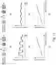 Fig. 10 - Sensor unit and image forming apparatus