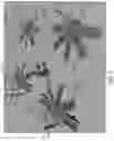 Fig. 06 - Automated creel systems and methods for using same