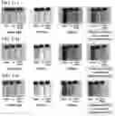 Fig. 11 - IMAGING APPARATUS, IMAGING SYSTEM, AND IMAGING METHOD