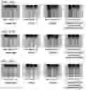 Fig. 26 - IMAGING APPARATUS, IMAGING SYSTEM, AND IMAGING METHOD