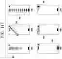 Fig. 27 - Electronic apparatus having a hole area within screen and control method thereof