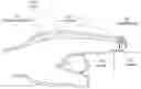Fig. 01 - Use of light transmission through tissue to detect force
