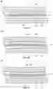 Fig. 07 - Contracting and elongating materials for providing input and output for an electronic device
