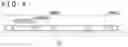Fig. 04 - Sensor controller and active pen