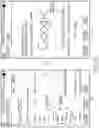 Fig. 07 - Method and apparatus for processing multi-touch input at touch screen terminal