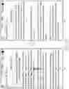 Fig. 10 - Method and apparatus for processing multi-touch input at touch screen terminal